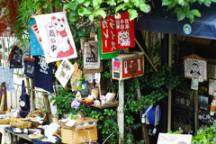 IMGP0961