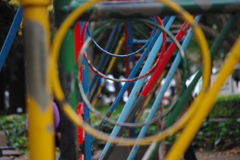 IMGP1091