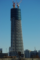 IMGP1233