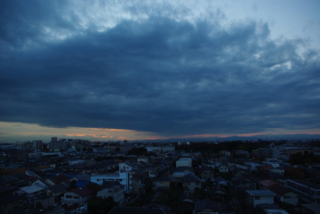 画像 431