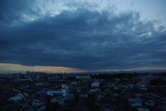 画像 431