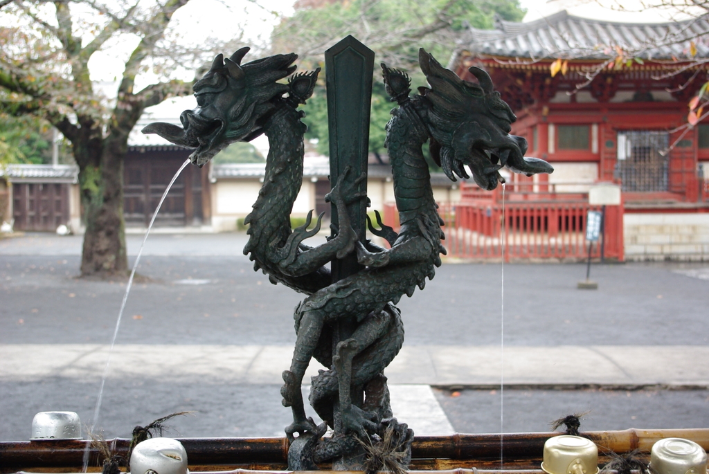 画像 371