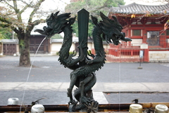 画像 371