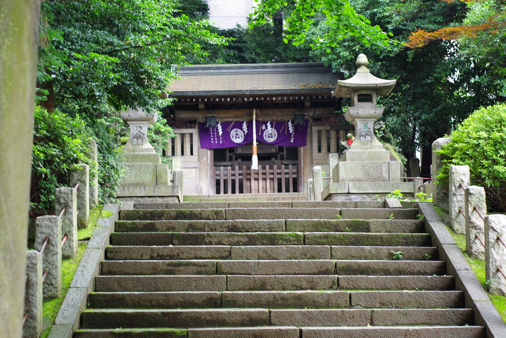 IMGP0984