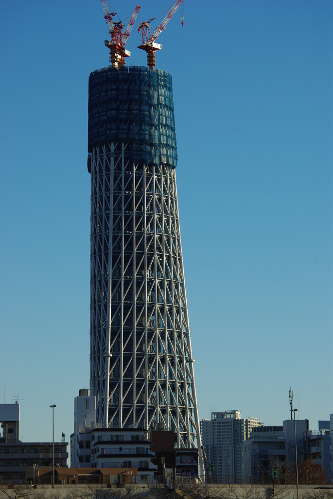 IMGP1233