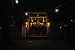 IMGP1291