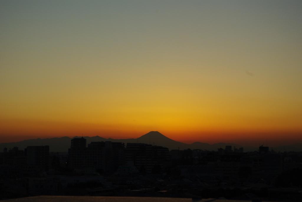 画像 449