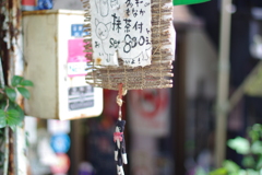 IMGP0964