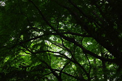 IMGP1025