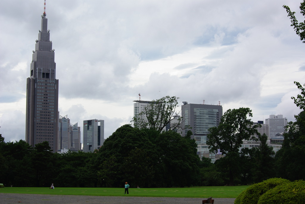 IMGP0988