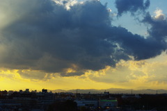 画像 631
