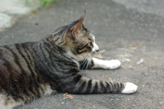 IMGP0970