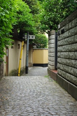 IMGP0935