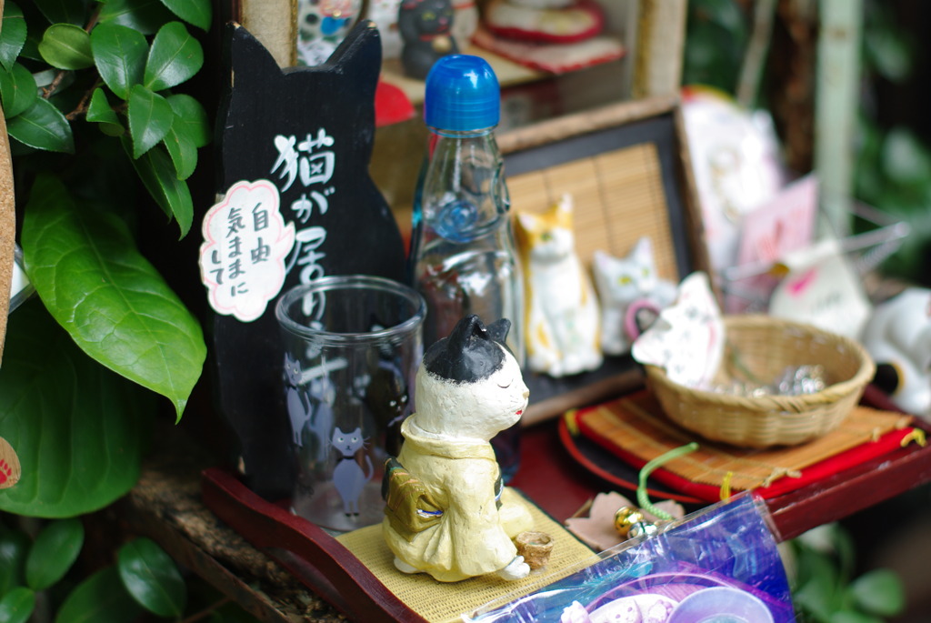 IMGP0966
