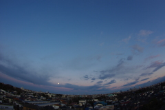 IMGP1289