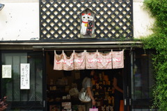 IMGP0959