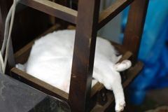 IMGP0955