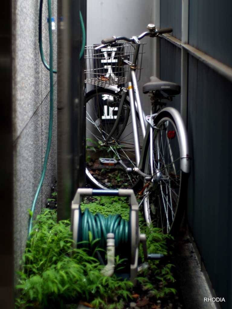 箱庭