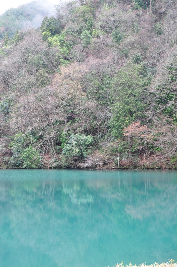 丹波篠山（！）の青い池３