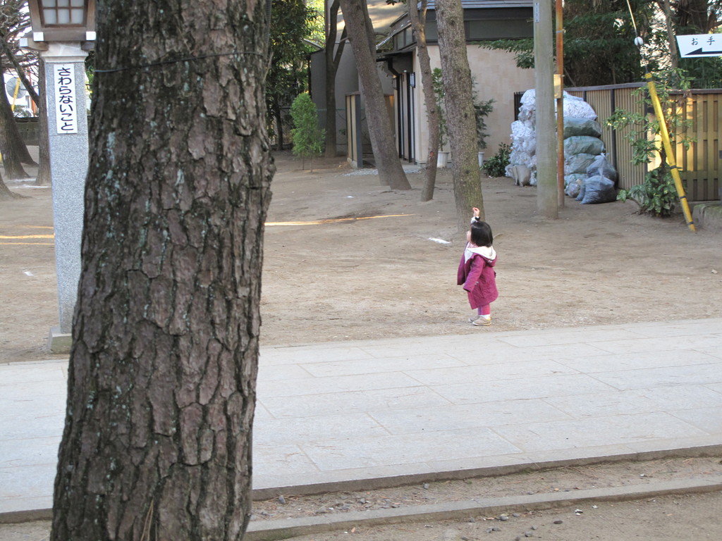 初アップデート