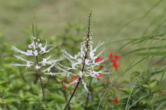 アンデルセン公園