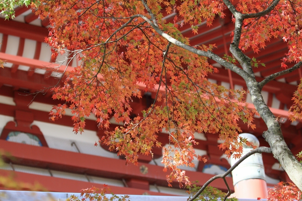 成田山公園