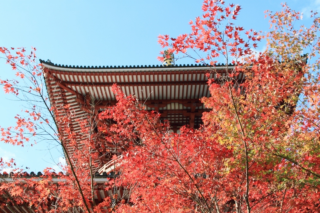 成田山公園