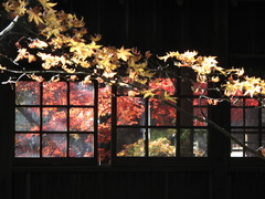 本土寺