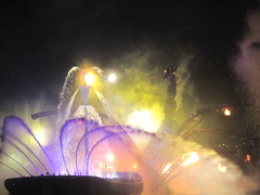 ディズニィーシー