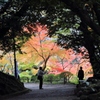 成田山公園