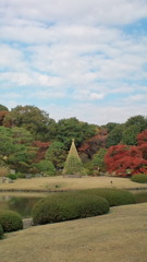 携帯画像（六義園）