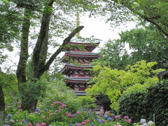 本土寺