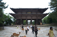 奈良　大仏殿