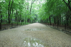 下鴨神社