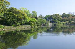 早朝の水前寺公園