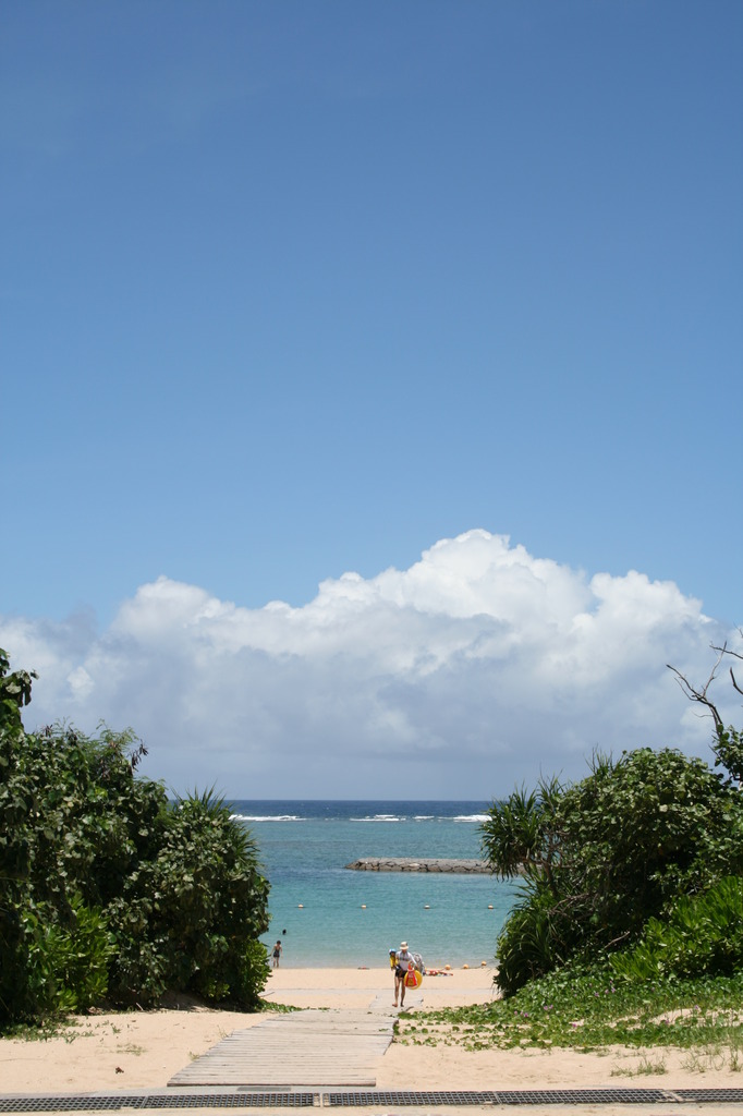 海へと続く道