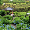 花寺の雨情景