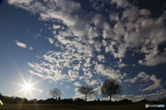 いつかの空