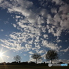 いつかの空