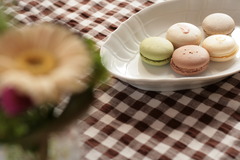 macaron