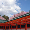 朱塗りの神殿と桜