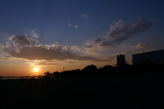 日没