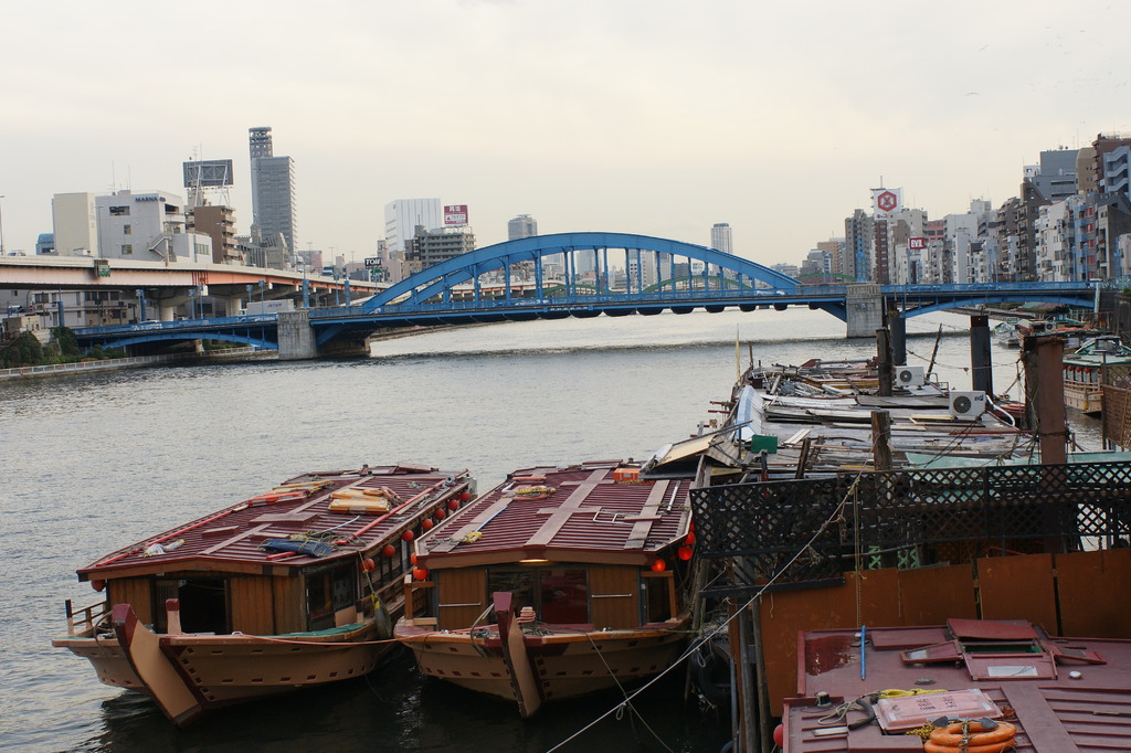 隅田川下流方面景色