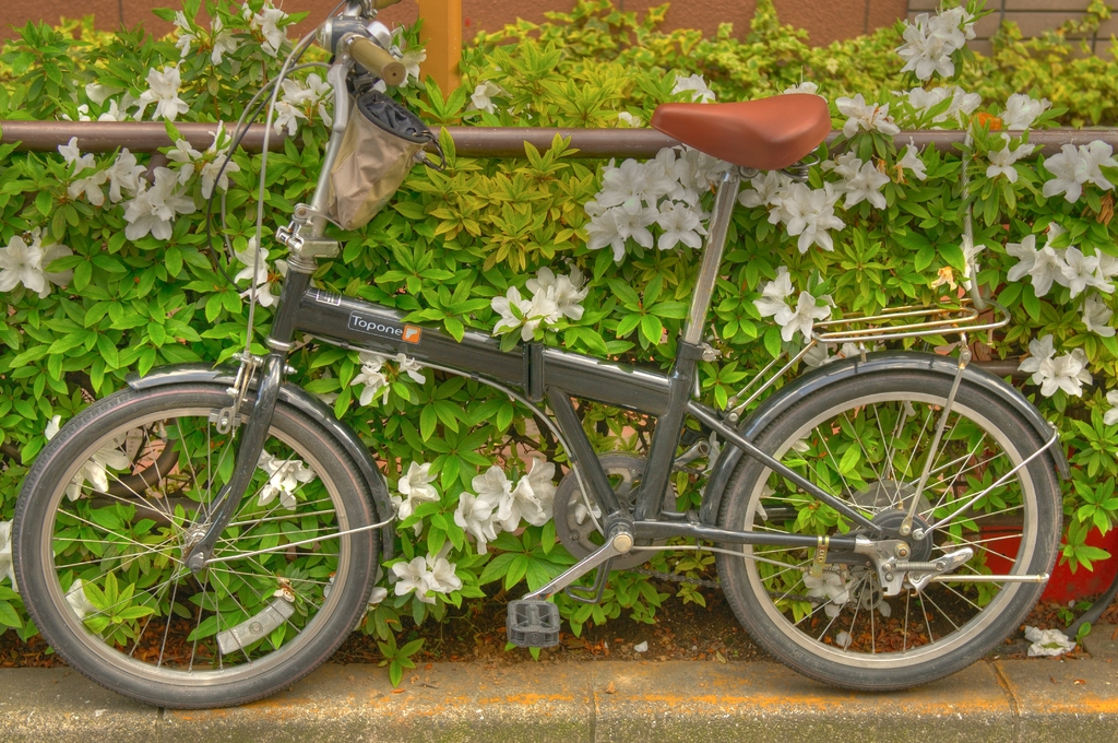 つつじ自転車