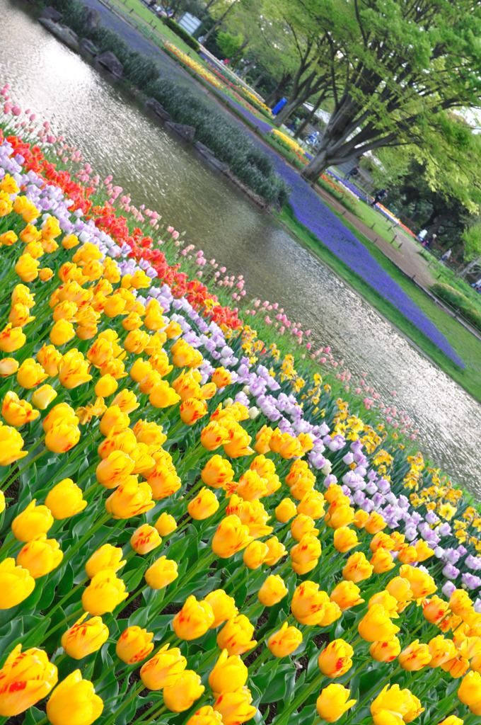 昭和記念公園 その２