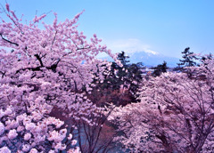 弘前公園と岩木山