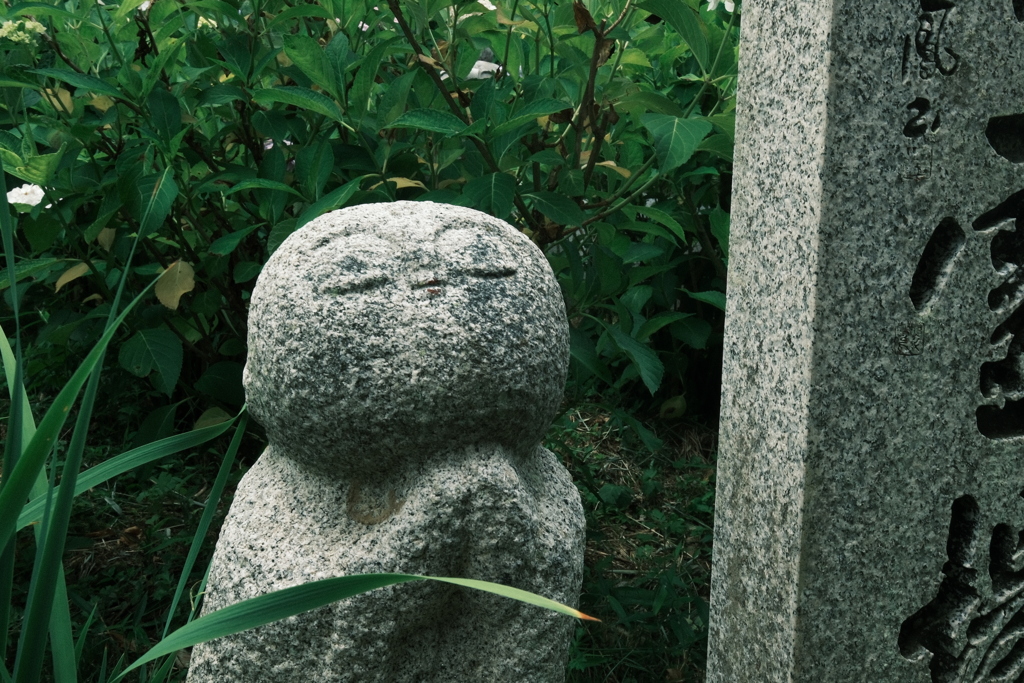 幸せだよ