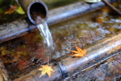 静かなる手水
