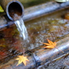静かなる手水