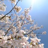 高く高く